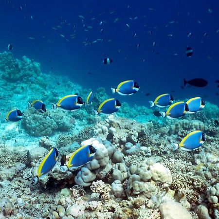 Ocean Village Maldives Holhudhoo Exterior photo