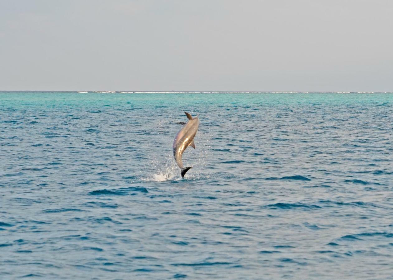 Ocean Village Maldives Holhudhoo Exterior photo