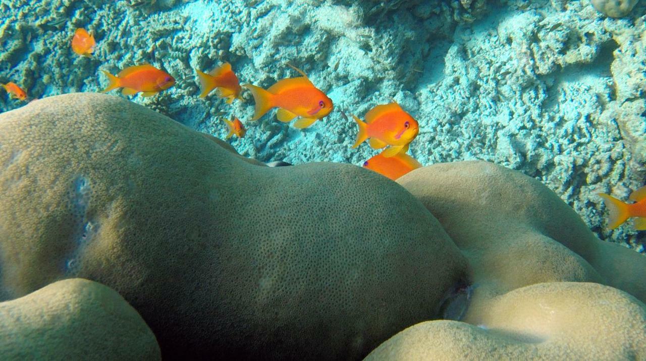 Ocean Village Maldives Holhudhoo Exterior photo